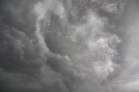 2013-11-17 - A Shelter from the Storm (IMG_9909)