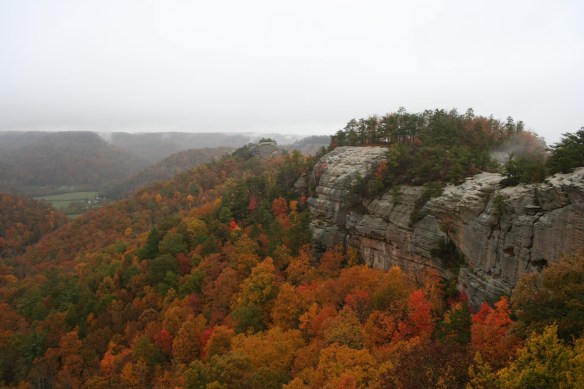 2013-11-20 - The Hills Before You Shall Break Forth Into Singing (IMG_2886)