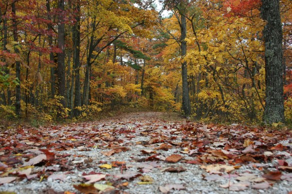 2013-11-29 - The Way (IMG_2888)