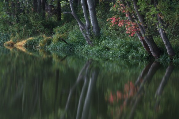 2013-11-30 - An Image Formed (IMG_5236)