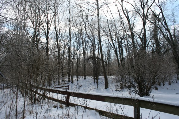 2013-12-06 - Whiter than Snow (IMG_0424)