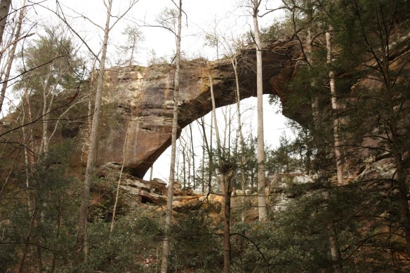 2013-12-12 - The King of the Ages (IMG_6779)