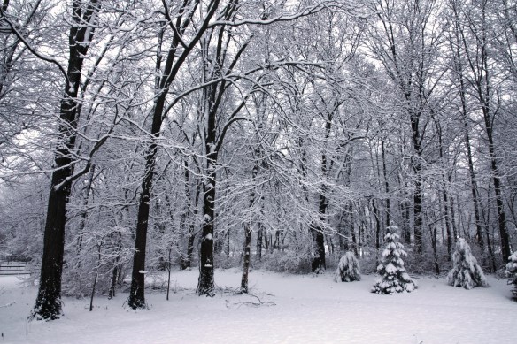 2014-01-02 - Praise the LORD from the Earth, You…Snow (IMG_1614_ADJ)