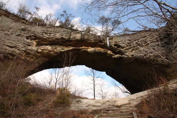 2014-01-15 - Let All the Earth Keep Silence (IMG_6878)