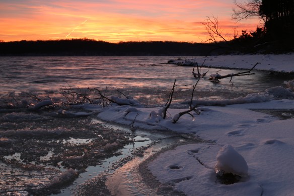 2014-01-19 - They Are Without Excuse (IMG_0061)