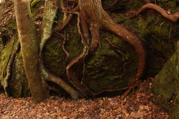 2014-01-21 - Twisted Things (IMG_6800_CROP)