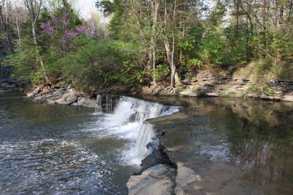 2014-01-28 - Creation Waits With Eager Longing (IMG_7192)