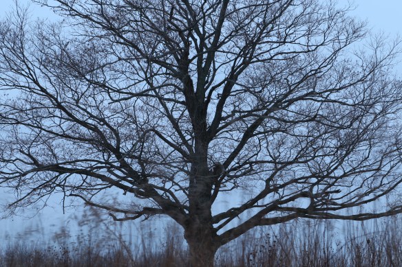 2014-02-02 - There Is One (IMG_0558)