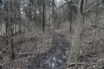 2014-03-22 - A River of Mud-- (IMG_1120)