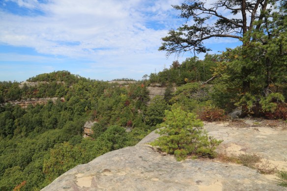 2014-12-17 - Press On Toward the Goal (1-IMG_3174)